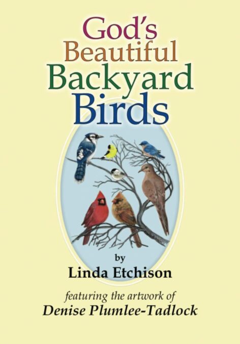 God’s Beautiful Backyard Birds by Linda Etchison, Illustrated by Denise Plumlee-Tadlock