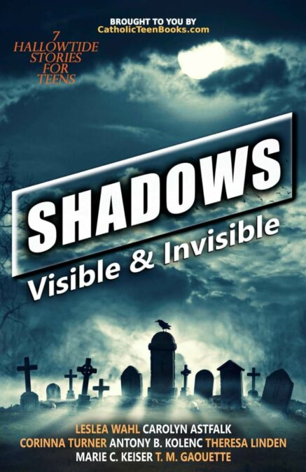 Shadows: Visible and Invisible By Catholic Teens Books