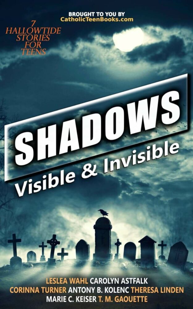 Shadows: Visible and Invisible By Catholic Teens Books