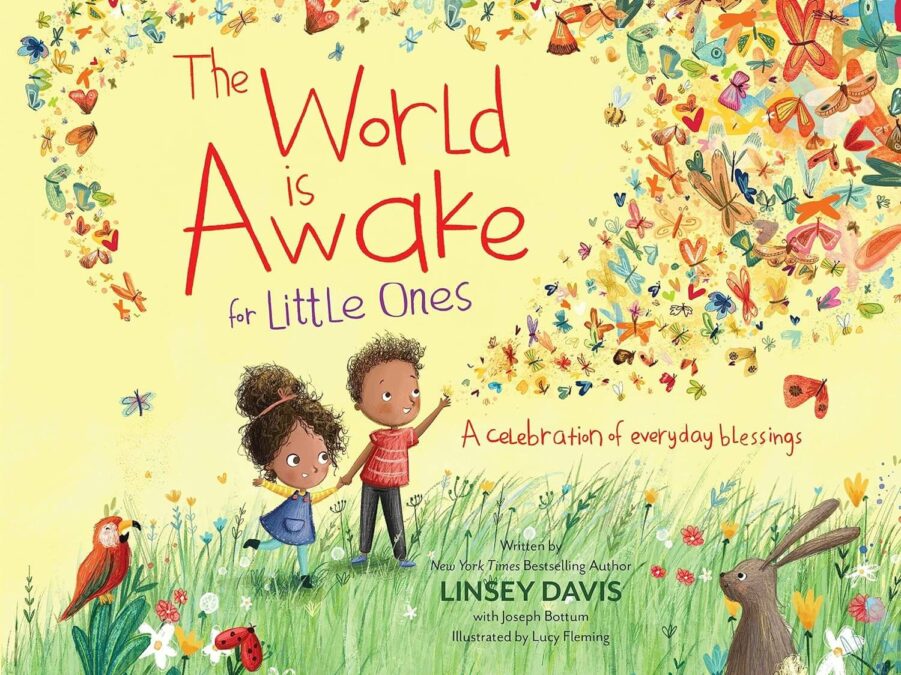 The World is Awake By Linsey Davis